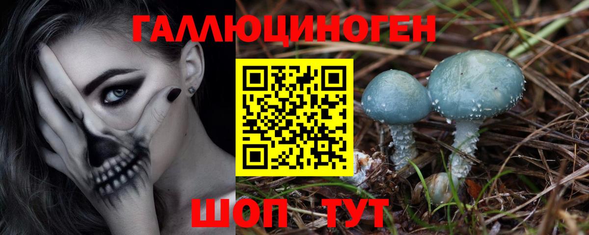 Псилоцибиновые грибы GOLDEN TEACHER Прокопьевск